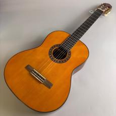 Valencia CG190W_2