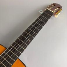 Valencia CG190W_3