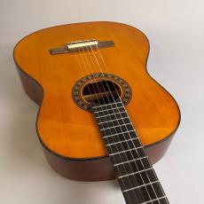 Valencia CG190W_9