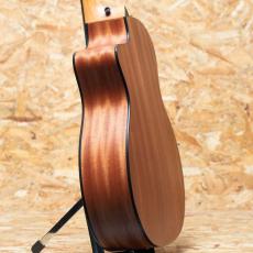 Taylor 114ce_5