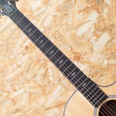 Taylor Next Generation 314ce_6