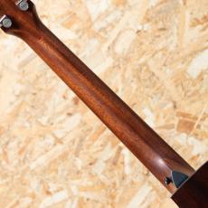 Taylor Next Generation 314ce_7