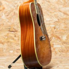 Gibson Hummingbird Original HCS_4