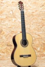 ASTURIAS TSUJI S-2/S_3