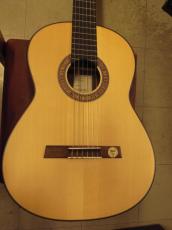 Hofner MASTER SERIES HM88 (2014)