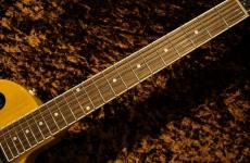 Tokai 【NEW】LSS-101 ~See Through Yellow~ #2450683 [3.45kg]【日本製】 _5
