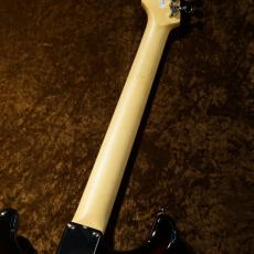 FUJIGEN BCST100RBD-3TS/01 #C240577 [3.23kg][送料込]_7
