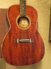 Takamine PT-406