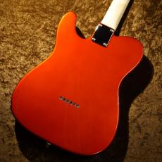 FUJIGEN BCTE100RBD-CAR/01 #C240285 [3.41kg][送料込]_5