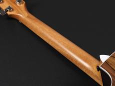 Taylor 214ce Special Edition ~Honeyburst~_9