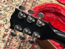 Gibson 【NEW】 Les Paul Standard '60s AAA Figured Top Fireburst #222840085 [4.26kg] [送料込] _9
