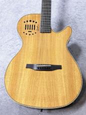 Godin Multiac Steel Duet Ambiance KOA