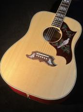 Gibson 【NEW!】 Dove Original ~Antique Natural~ #21234156