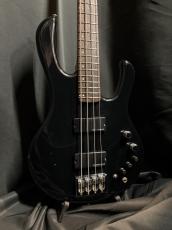 ESP BOTTOM LINE_2