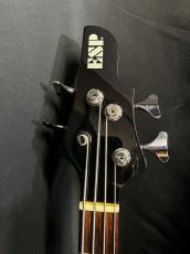ESP BOTTOM LINE_4