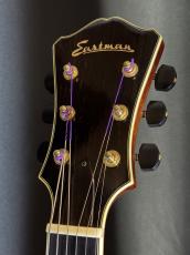 Eastman AR810_3