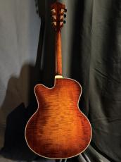 Eastman AR810_5