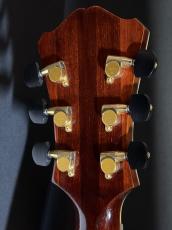 Eastman AR810_6