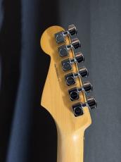 Fender American Professional II Stratocaster_6