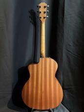 Taylor 114ce_5