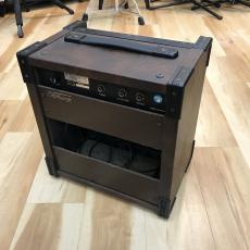 Maxon GX20_3