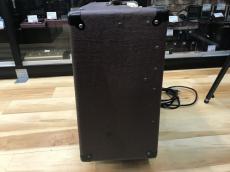 Hughes & Kettner Statesman DUAL EL84_4