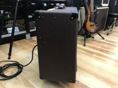 Hughes & Kettner Statesman DUAL EL84_5
