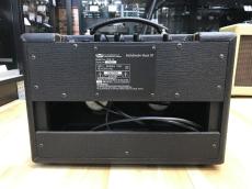 VOX Pathfinder Bass 10_2