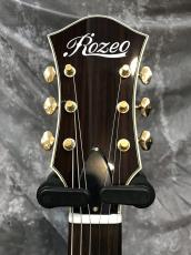 Rozeo Ladybug SM-C_6