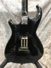 Aria Pro II Wild Cat_3