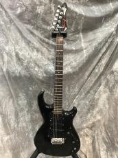 Aria Pro II Wild Cat_4