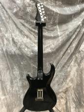 Aria Pro II Wild Cat_5