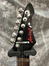 Aria Pro II Wild Cat_6