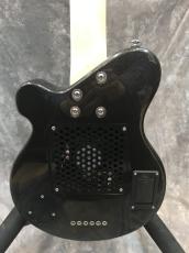 Pignose PGG-200_3