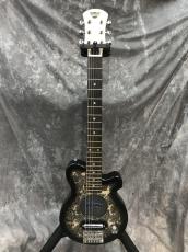 Pignose PGG-200_4