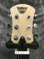 Pignose PGG-200_6