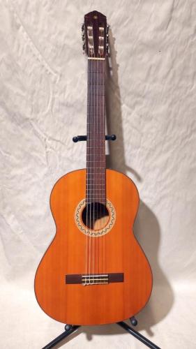 YAMAHA G-100