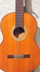 YAMAHA G-100_2