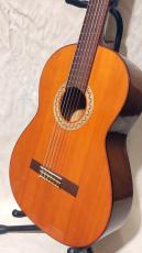 YAMAHA G-100_4