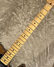 Fender 【Vintage】Telecaster Walnut 1973-4年製 [3.65kg]【G-Club Tokyo】_9