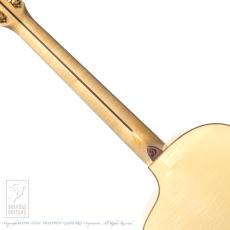 Dowina ACERO-GAC-DS【36回無金利対象品】_6