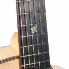 Dowina ACERO-GAC-DS【36回無金利対象品】_10