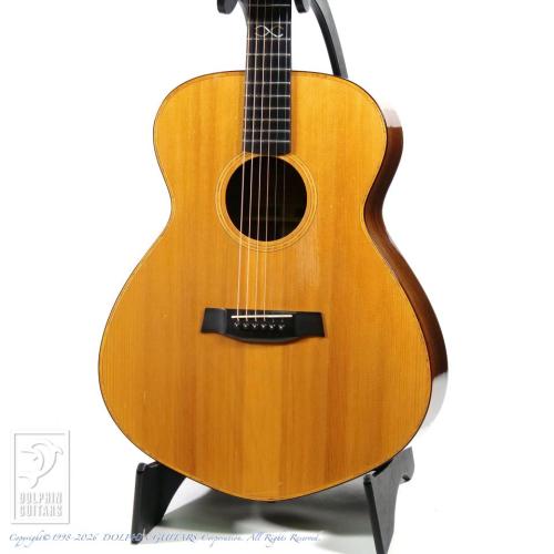 K'z Guitar K-2R