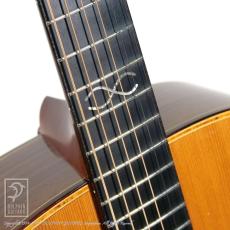 K'z Guitar K-2R_12