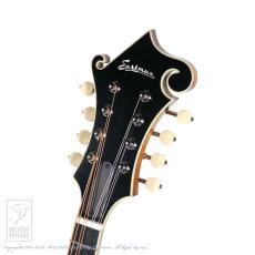 Eastman MD-614/GB_7