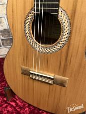 Orpheus Valley Guitars オルフェウス・ヴァレー・ギターズ S48C 【中古】_9