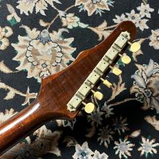 Epiphone 1967 Olympic Double Sunburst w/Short Vibrora_9