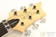 Paul Reed Smith [PRS] Custom24 Floyd Rose Wood Library 10Top Purple 2014年製 【返品OK】[RK339]_5