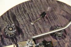 Paul Reed Smith [PRS] Custom24 Floyd Rose Wood Library 10Top Purple 2014年製 【返品OK】[RK339]_11