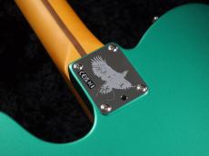 Fender Susan Tedeschi Telecaster Rosewood Fingerboard ~Aged Caribbean Mist~_12